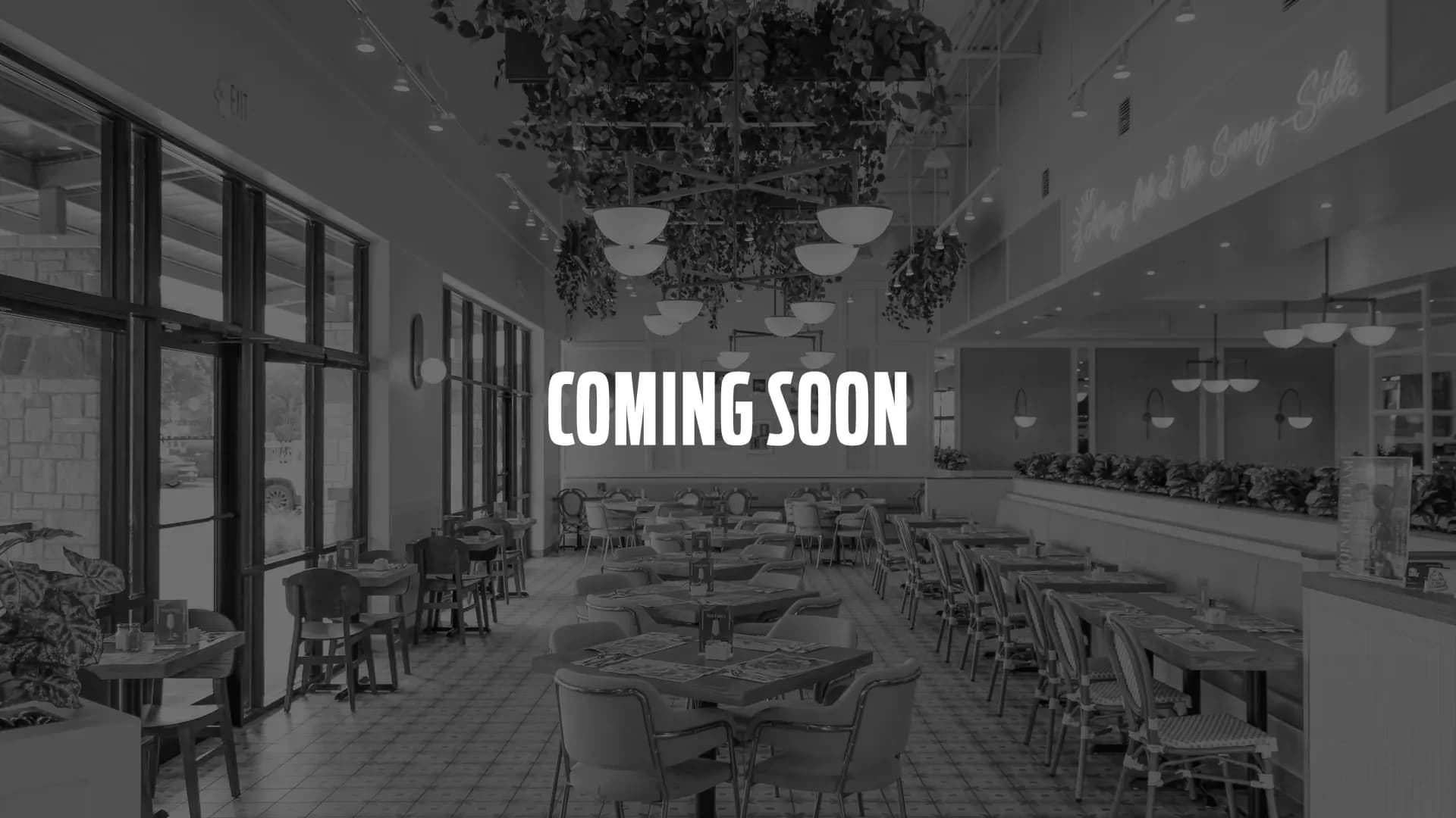 Pür & Simple — Coming Soon